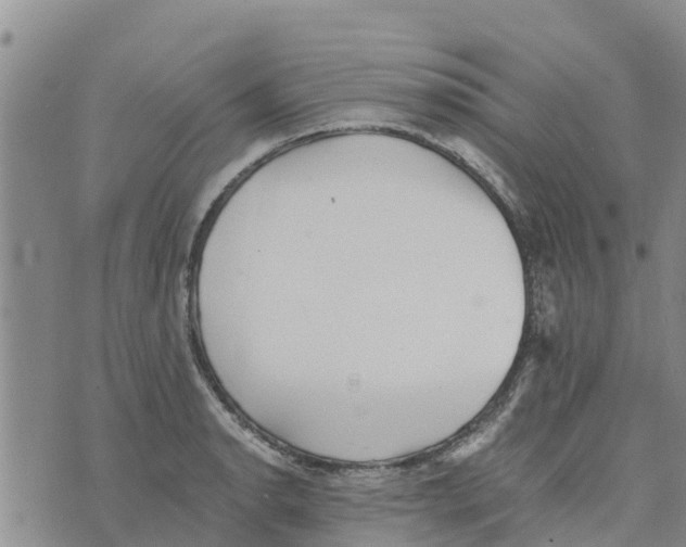 X0000073701134200608311723