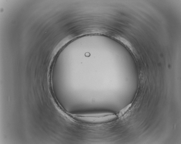 X0000073701135200608311723