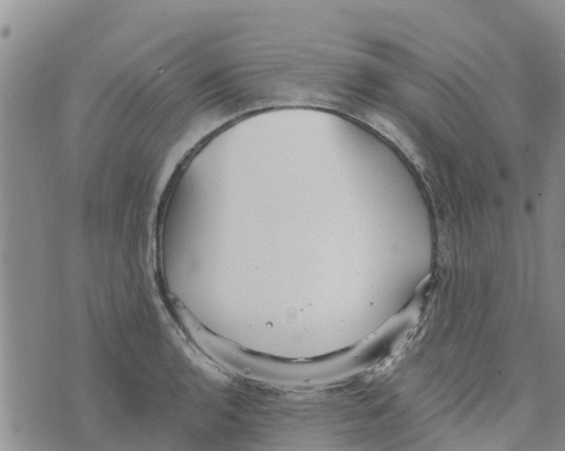 X0000073701136200608311723