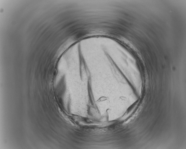 X0000073701137200608311723