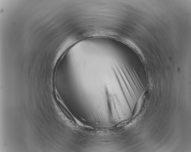 X0000073701138200608311723