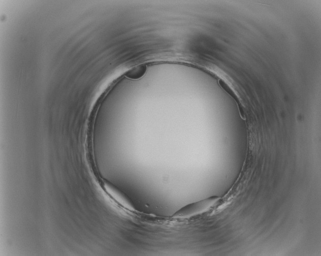 X0000073701139200608311723