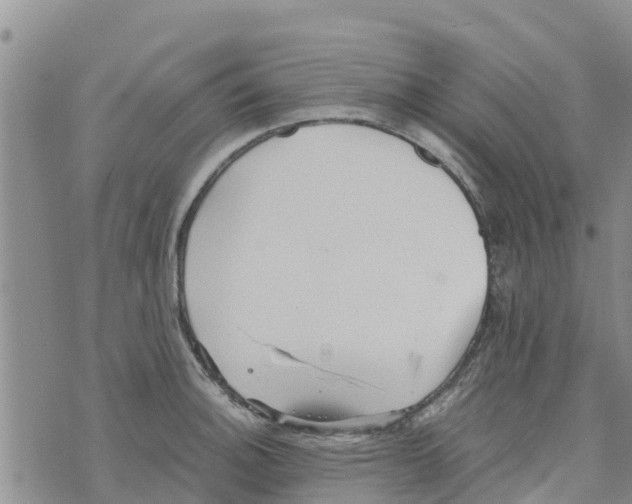 X0000073701140200608311723