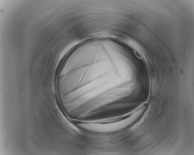 X0000073701141200608311723