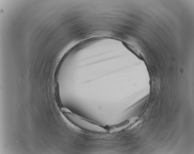 X0000073701143200608311723