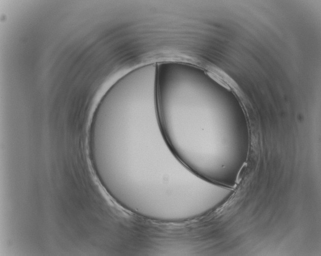 X0000073701144200608311723