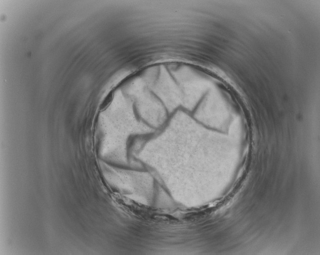 X0000073701145200608311723