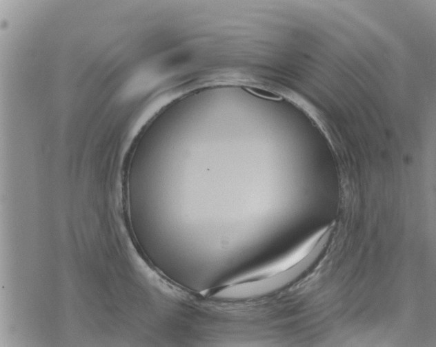 X0000073701147200608311723