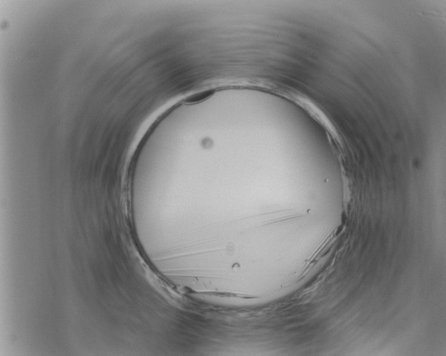 X0000073701148200608311723