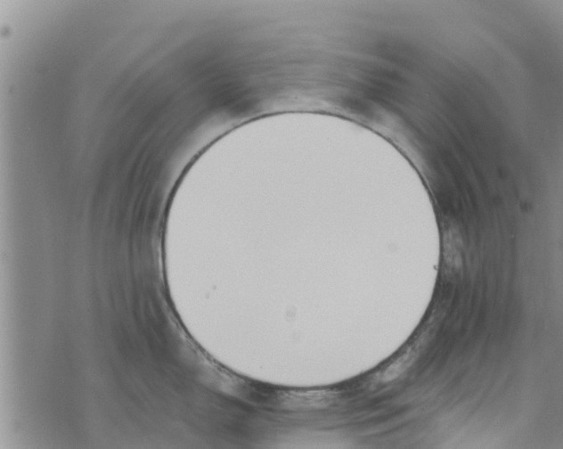 X0000073701150200608311723