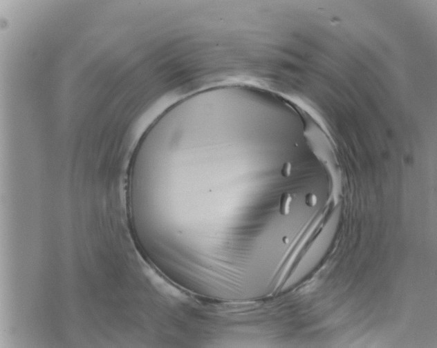 X0000073701151200608311723