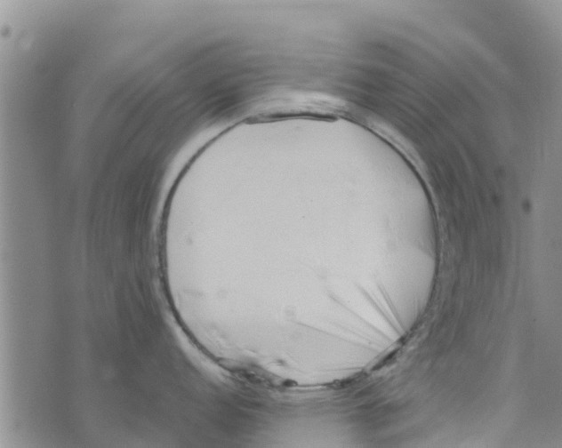 X0000073701152200608311723