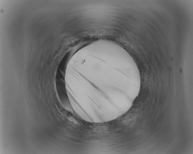 X0000073701153200608311722