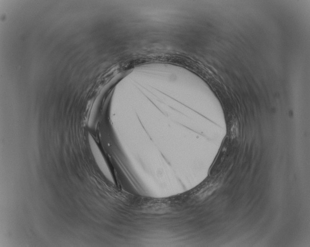 X0000073701156200608311722