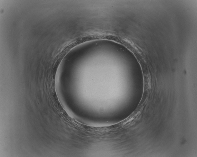 X0000073701157200608311722