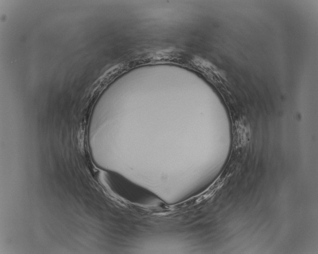 X0000073701158200608311722