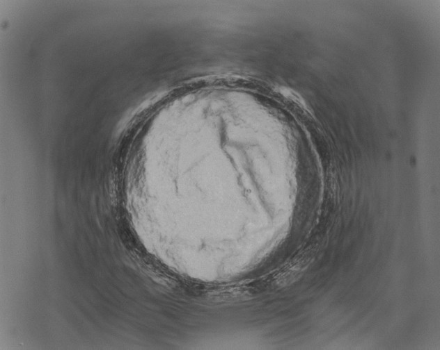 X0000073701159200608311722