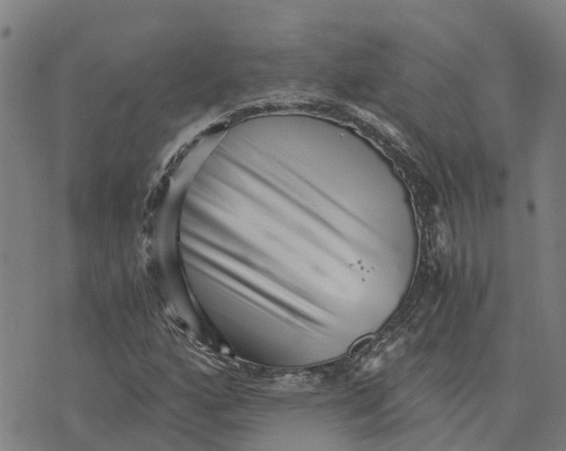 X0000073701160200608311722