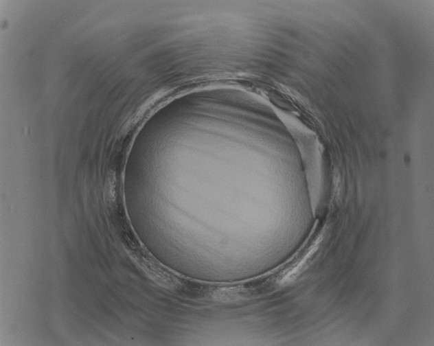 X0000073701161200608311722