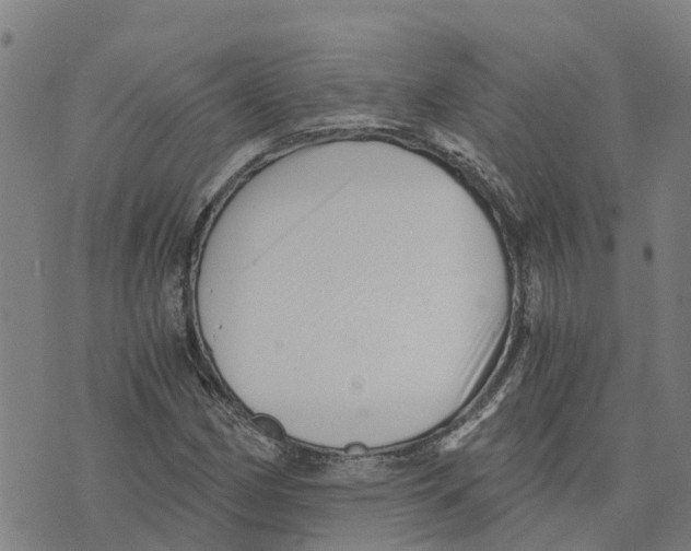 X0000073701162200608311722