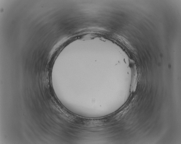 X0000073701164200608311722