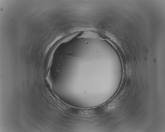 X0000073701165200608311722