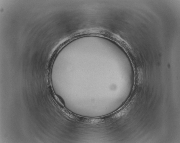 X0000073701166200608311722