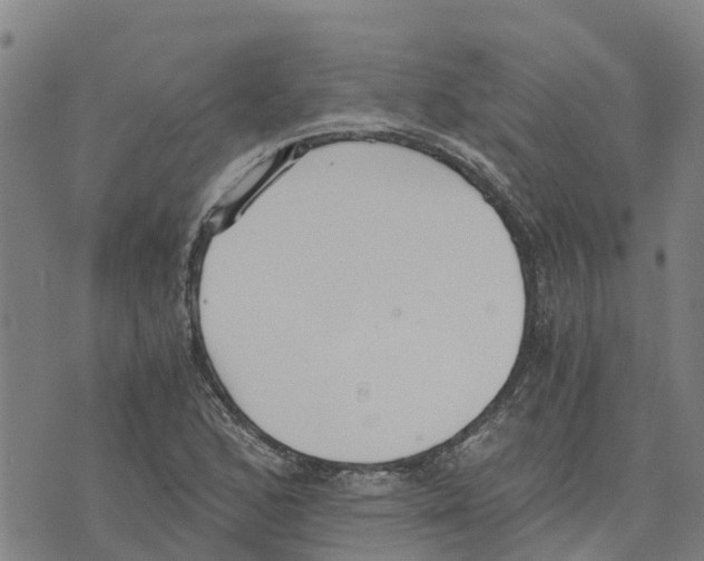 X0000073701168200608311722