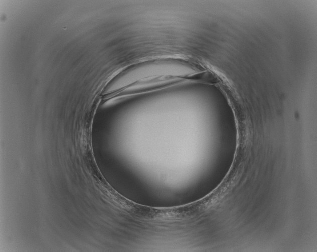 X0000073701169200608311722