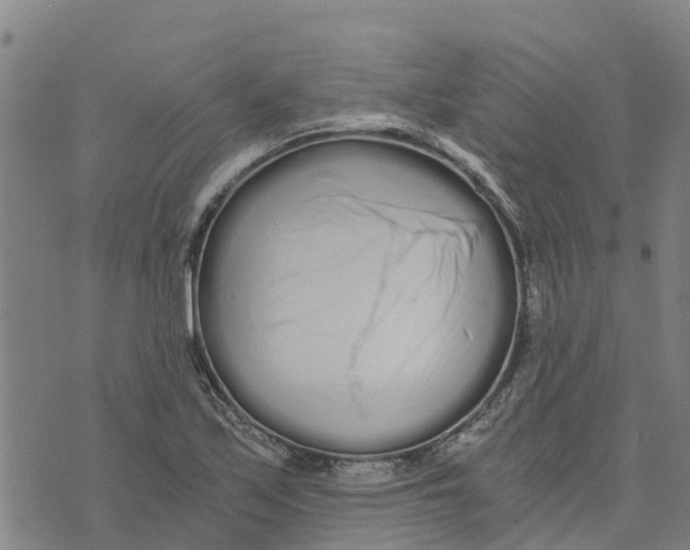 X0000073701171200608311722