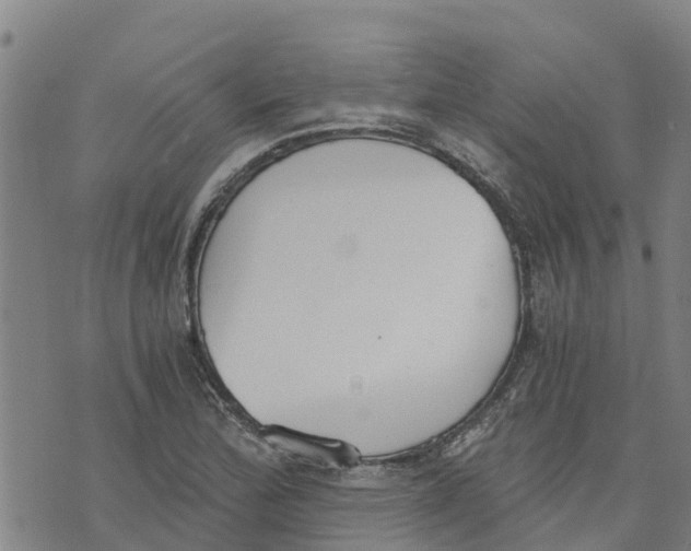 X0000073701172200608311722