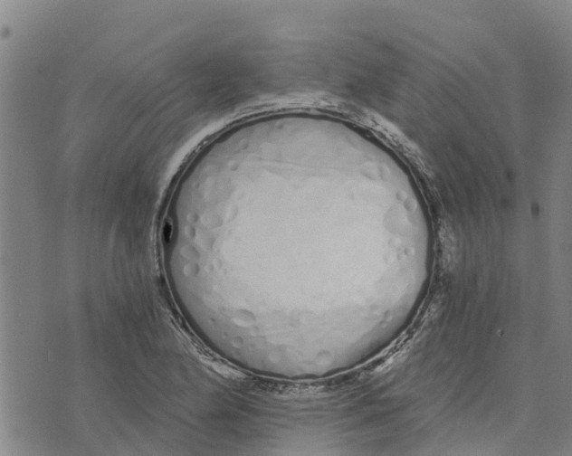 X0000073701174200608311722