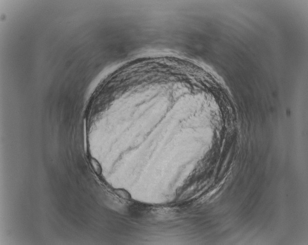 X0000073701175200608311722