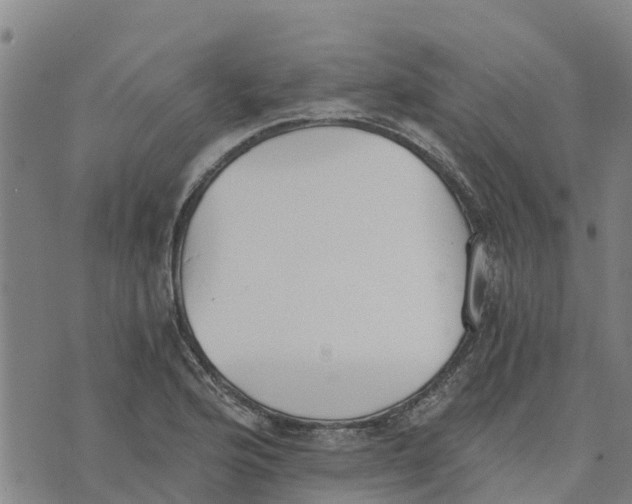 X0000073701176200608311722