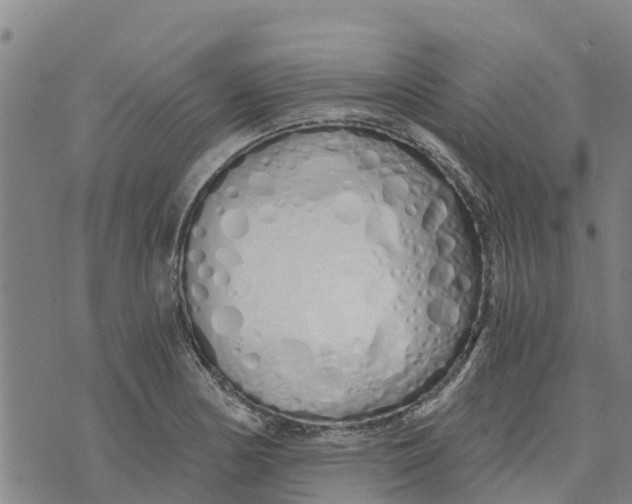 X0000073701178200608311722