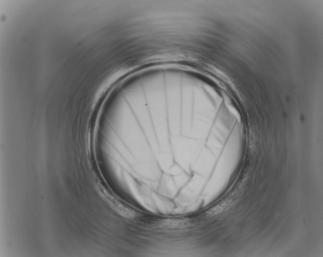 X0000073701179200608311722