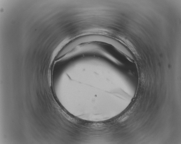 X0000073701180200608311722