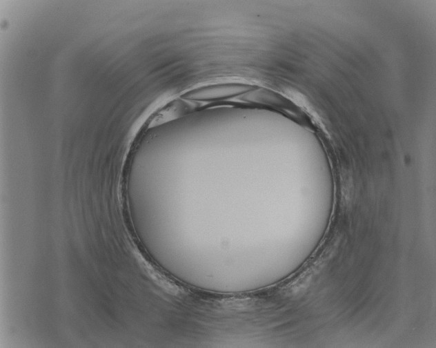 X0000073701181200608311722