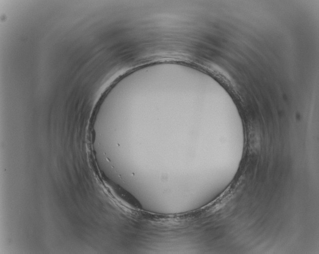 X0000073701182200608311722