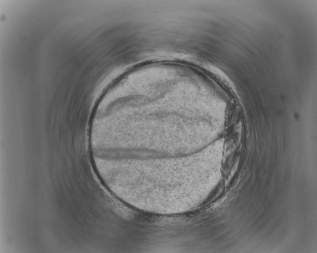 X0000073701183200608311722