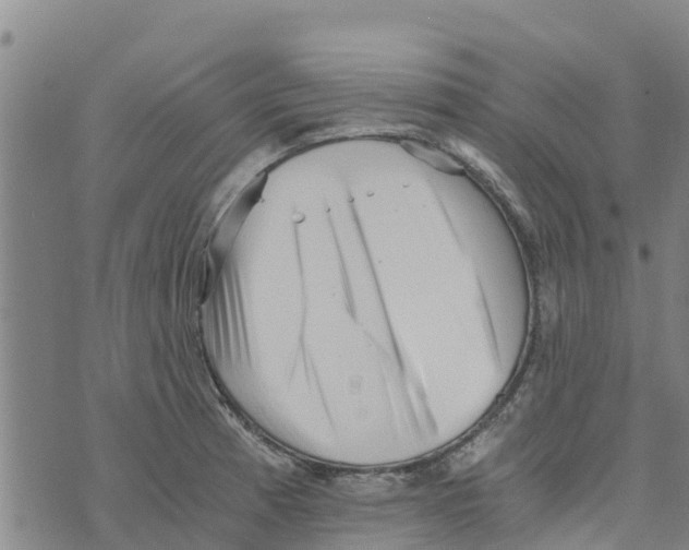 X0000073701185200608311722