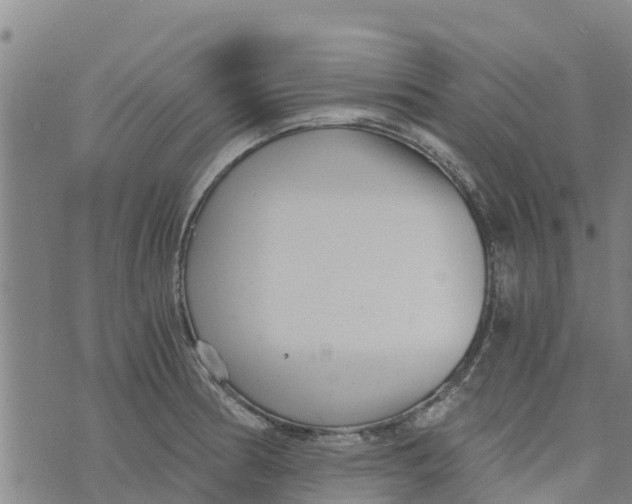 X0000073701186200608311722