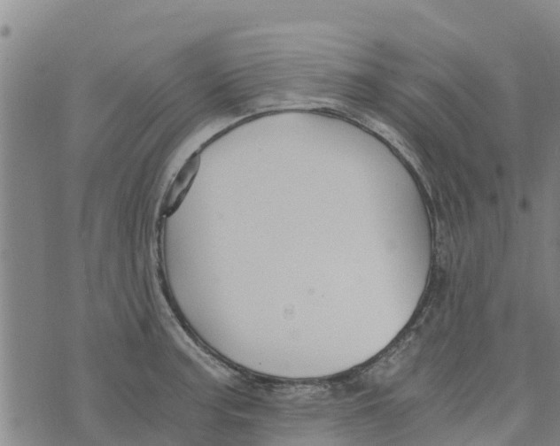 X0000073701187200608311722