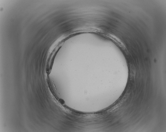 X0000073701188200608311722