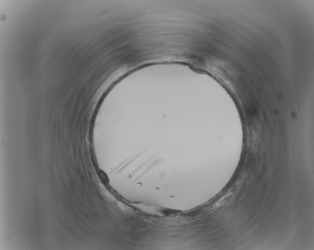 X0000073701189200608311722