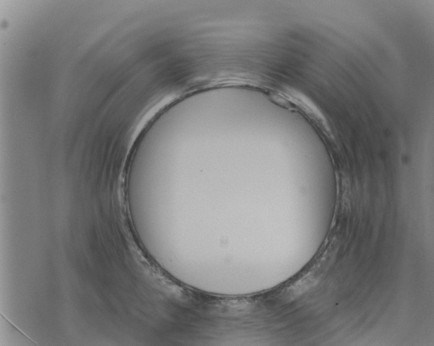 X0000073701190200608311722