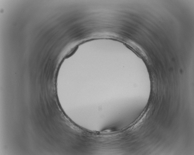 X0000073701192200608311722