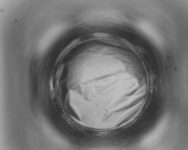 X0000073701198200608311722