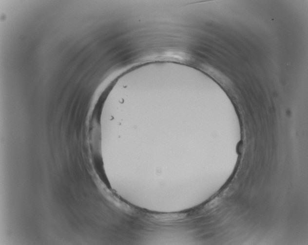 X0000073701200200608311722