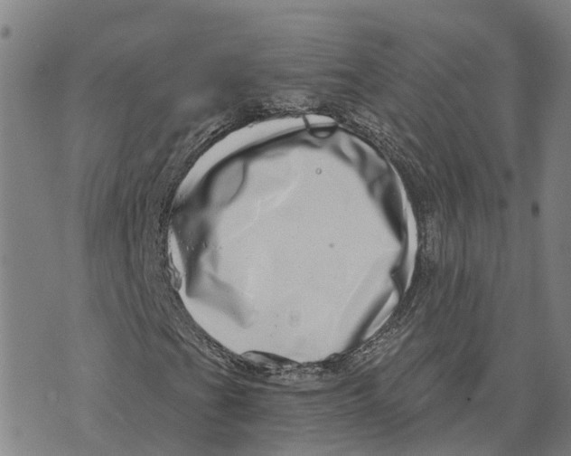 X0000073701201200608311721